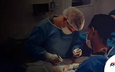 Norma Oficial Mexicana para el Sector Salud