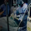 Cómo funciona el Circuito Aislado de Tierra 1